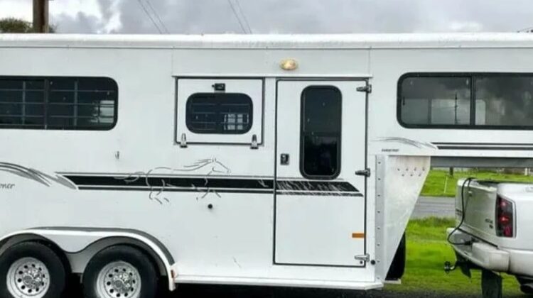 2003 2 Horse Trailer Sundowner Diamond Sport‼️