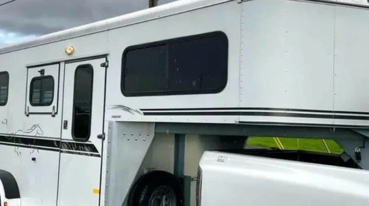 2003 2 Horse Trailer Sundowner Diamond Sport‼️