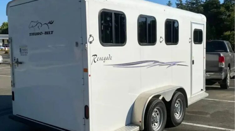 2019 THURO-BILT 3 horse‼️