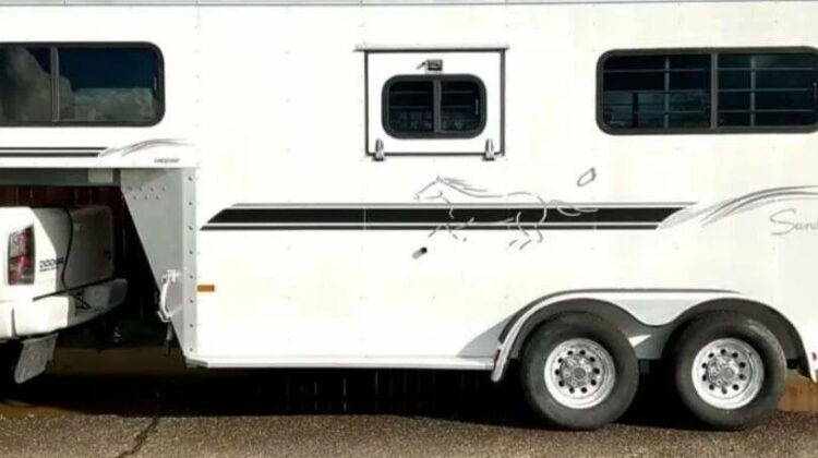 2003 2 Horse Trailer Sundowner Diamond Sport‼️