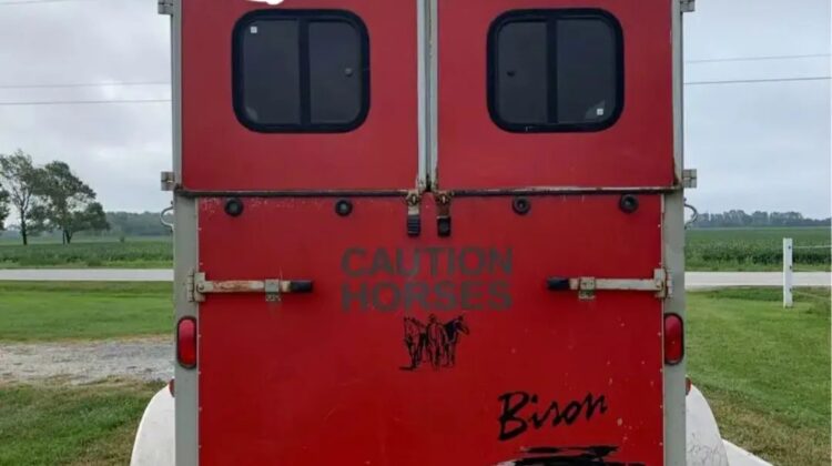 1999 Bison 2H bumper pull, straight load‼️