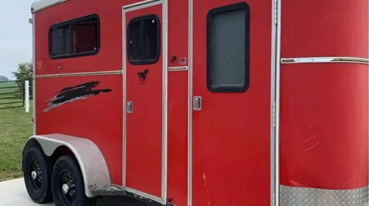 1999 Bison 2H bumper pull, straight load‼️