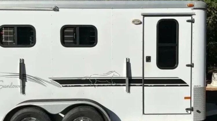 2000 Sundowner Valuelite 2 horse slant load bumper pull horse trailer‼️