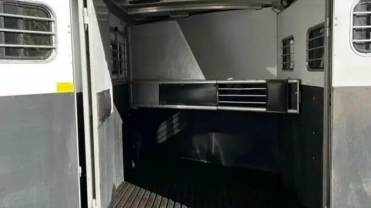 2000 Sundowner Valuelite 2 horse slant load bumper pull horse trailer‼️