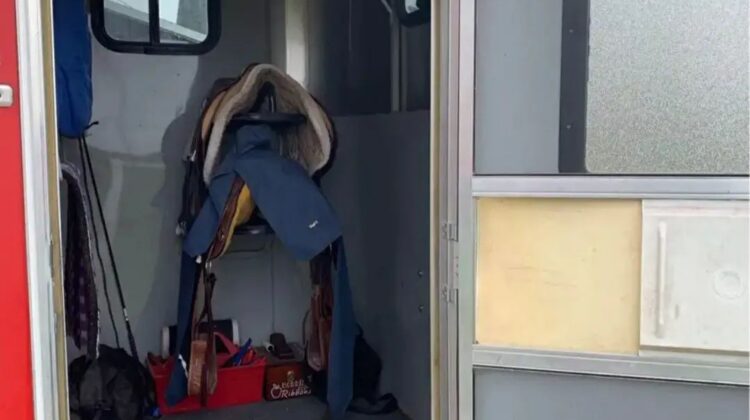 1999 Bison 2H bumper pull, straight load‼️