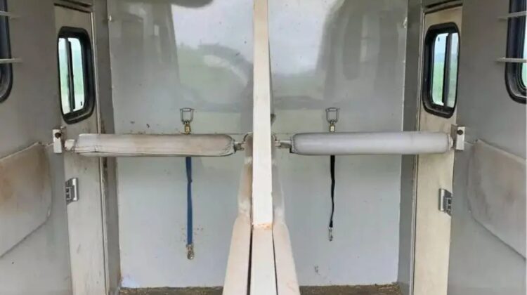 1999 Bison 2H bumper pull, straight load‼️