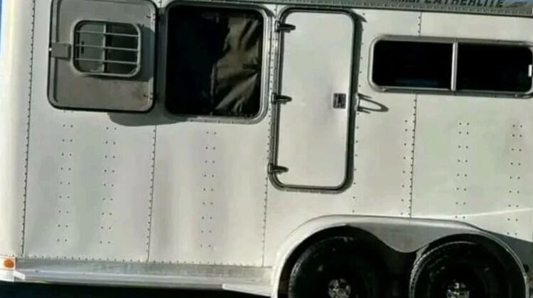 1994 Feather Light 2 Horse‼️