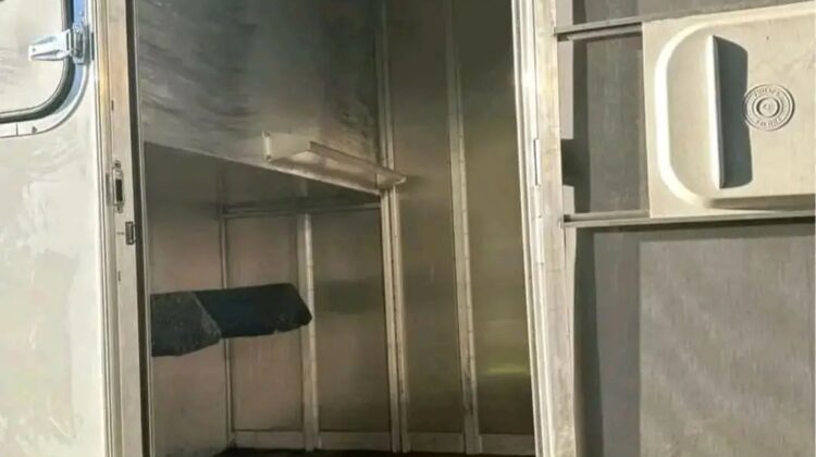 1994 Feather Light 2 Horse‼️