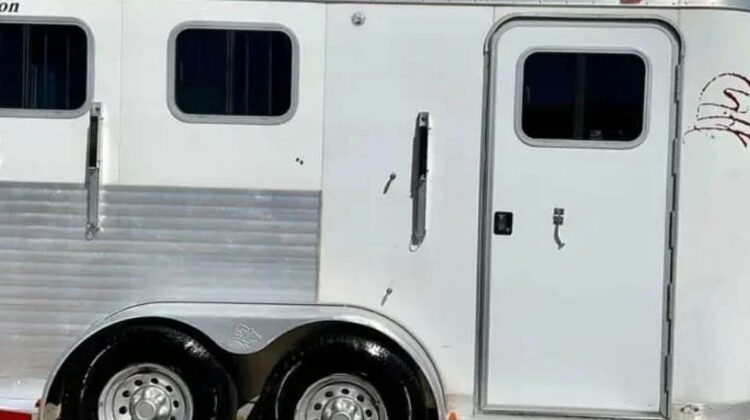 2009 EXISS es 310 e 3 horse LQ‼️