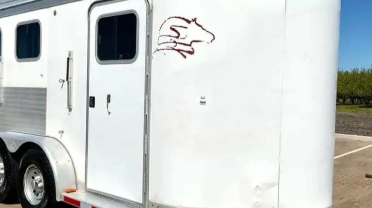 2009 EXISS es 310 e 3 horse LQ‼️