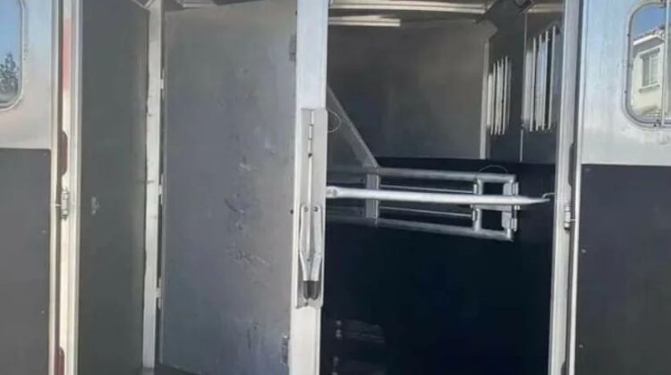 2001 2 Horse Trailer Sooner Revolution‼️