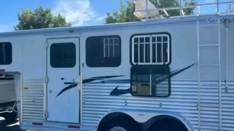 3-horse Silverlite all aluminum Weekender‼️