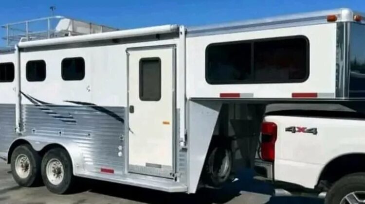3-horse Silverlite all aluminum Weekender‼️