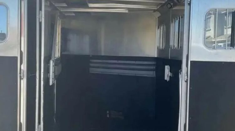 2009 EXISS es 310 e 3 horse LQ‼️