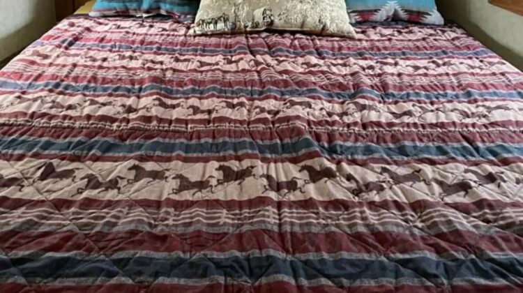 2004~4Star 3 horse 12′ living quarters horse trailer.