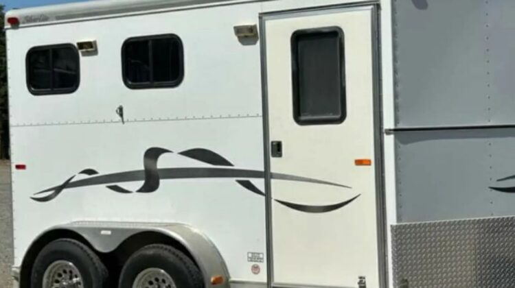 2002 Silver Lite 2HBP