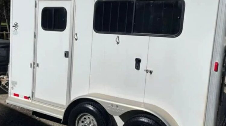 2015 Cimarron 2 horse straight load trailer with ramp