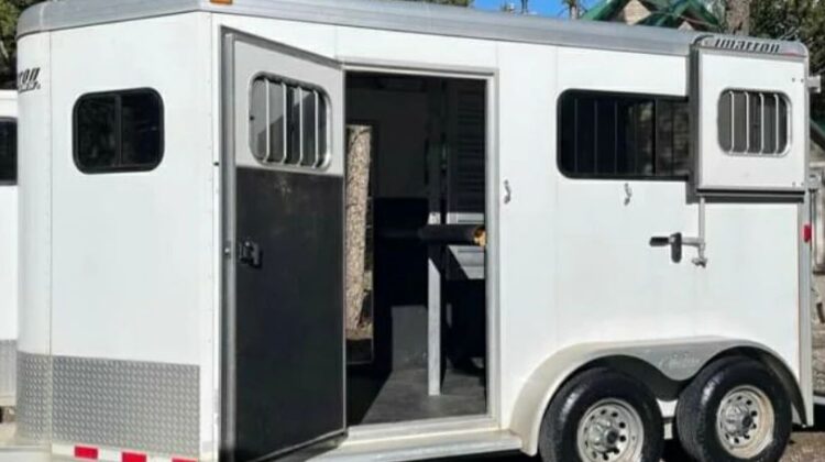 2015 Cimarron 2 horse straight load trailer with ramp