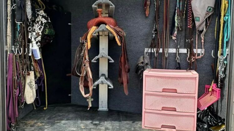 2023 Bloomer 5 horse side load with big rear tack!