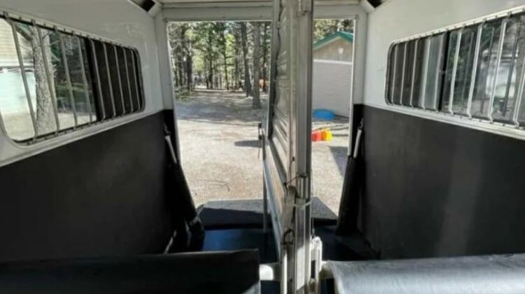 2015 Cimarron 2 horse straight load trailer with ramp